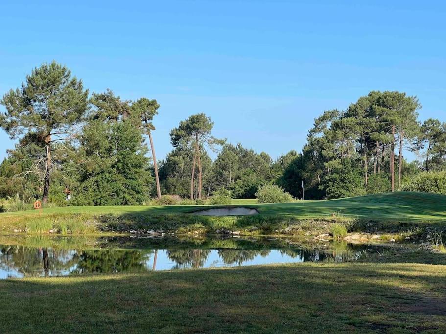 Agreable Maison Landaise Proche Du Lac ซองกีเนต์ ภายนอก รูปภาพ