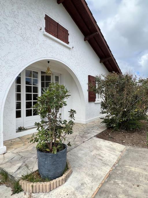 Agreable Maison Landaise Proche Du Lac ซองกีเนต์ ภายนอก รูปภาพ
