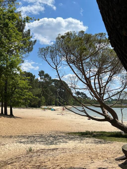 Agreable Maison Landaise Proche Du Lac ซองกีเนต์ ภายนอก รูปภาพ