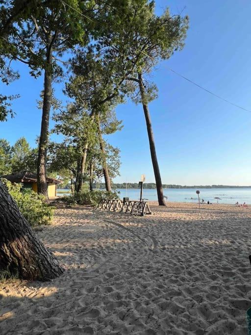 Agreable Maison Landaise Proche Du Lac ซองกีเนต์ ภายนอก รูปภาพ